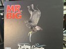 Mr Big Defying Gravity Vinyl Box Set