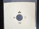 Selena / I Could Fall In Love & Tu Solo Tu / EMI 1995 45 rpm