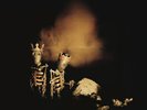 Riot Act by Pearl Jam (Record, 2017) 2LP vinyl