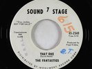 Northern Soul 45 - Fantastics - That One - Sound Stage 7