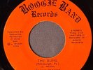 LARRY MCGEE REVOLUTION   The Burg   BOOGIE BAND 7308   FUNK