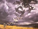 GILMOUR, David - Rattle That Lock - Vinyl (LP)
