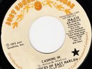 The Voices Of East Harlem '73 Cashing In DJ orig Just Sunshine VG Northern Soul