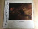 Cocteau Twins/Victorialand 25VB1092 Used LP