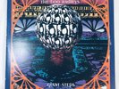 The Boo Radleys - Giant Steps - LP Vinyl Record Creation Records Double Album