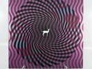 Deerhunter - Cryptograms / Fluorescent Grey Vinyl 2007 Press Bonus Promo Poster
