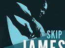 Skip James Worried Blues (Vinyl)