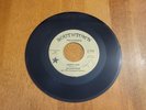 JIM DICKINSON Catmando Quartet Monkey Man Vinyl 45 VG RARE 1966 Rock
