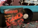 Decapitated   Winds Of Creation   LP    Vinyl   Death Metal   1st Press