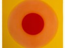 Brian Eno & Beatie Wolfe Luminal (Vinyl) 12