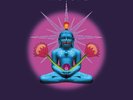 The Orb - Buddhist Hipsters [New Vinyl LP] Gatefold LP Jacket
