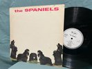 The Spaniels  