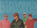 The Blow Monkeys - Birdsong - Blue Vinyl LP - New & Sealed