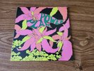 The Golden Dawn 'Power Plant' sealed 1979 USA LP out/ International Artists box