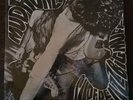 Mudhoney – Superfuzz Bigmuff US 1992 Reissue Sub Pop EP Colored Vinyl SEALED