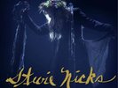 Stevie Nicks The 24 Karat Gold Tour: Live in Concert (Vinyl) (UK IMPORT)