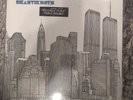 Beastie Boys To The 5 Boroughs 2004 2LP OG US NEW CH-CHECK IT OUT HELLO NASTY