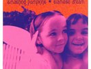 Siamese Dream