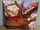 The Backseat Lovers Waiting To Spill (180 Gram Vinyl) New