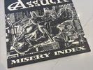 ASSUCK - Misery Index - 12