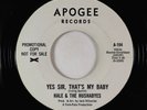 Beach Boys 45 - Hale & the Hushabyes - Yes Sir, That's My Baby - Apogee VG++