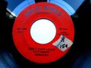 Sonaura Michigan Hard Rock - Dont Ever Leave / Song Of Sauron - VG+ 45 RECORD