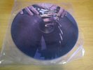 WASP LP ANIMAL F LIKE + SHOW NO MERCY 12