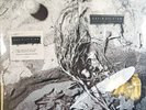 David Sylvian Secrets Of The Beehive LP Album Vinyl Record 2019 gatefold 180g