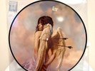 CAMILA CABELLO Liar/Shameless PICTURE DISC Vinyl NEW /2000 Urban Outfitters