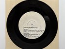 Made In South Bay Punk Rock 45 Compilation Demo Record Limited 100 Pressing