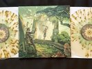 Final Fantasy XII: The Zodiac Age Selections Vinyl Not Moonshake 2DNinja VGM OST