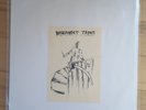 The Basement Tapes Compilation LP Emo Evergreen Unwound The Mountain Goats