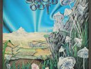 MAGIC MUSHROOM BAND: spaced out MYSTIC STONES 12