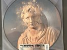 The Offspring, Splinter Vinyl, 2024 USA RSD Picture Disc.