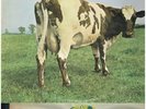 PINK FLOYD ATOM HEART MOTHER 1970 HARVEST RECORDS VINYL  ALBUM