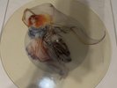 FISH - A Gentleman's Excuse Me - PICTURE DISC 12” Vinyl - 1990 - MARILLION uncut