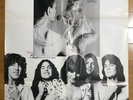 Ufo No Heavy Petting Us Promo Poster