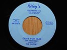 The Outcry Mich Garage Rock 45 Cant You Hear bw Gravey Covered Fruit Cake Rileys