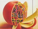 Ryo Kawasaki Juice LP Vinyl NEW