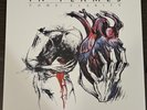 In Flames Come Clarity limited edition clear vinyl. Used