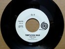 SLY STONE Temptation Walk ORIGINAL 1965 PROMO 7