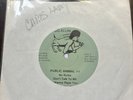 GG Allin Public Animal Number 1 Vinyl Signed And Owned By Chris Lamy With COA