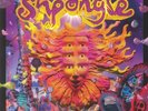SHPONGLE - Museum Of Consciousness (remastered) - Vinyl (2xLP)