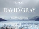 David Gray - Life in Slow Motion (20th Anniversary Edition) Blue [New Vinyl LP]