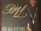 NEW OG STILL SEALED Big L - Big Picture 2 LP OLD STOCK  rare rawkus