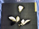 Depeche Mode VIOLATIONS REMIXES LP. New & Unplayed.