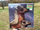 *SEALED* 1990, The Roches, We Three Kings, Vinyl Record LP MCA-10020, Christmas