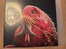 Thee Oh Sees Clearly Invisible CLEAR VINYL LP Record  ohsees ocs  very rare  NEW