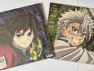 Demon Slayer Mugen Castle Arc Ch.1 & Pillar Training Arc 2-Disc Record Set