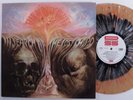 MOODY BLUES In Search Of The Lost Chord UMC LP NM 180g europe splatter vinyl x